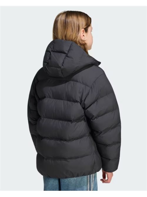 regular puffer ADIDAS ORIGINAL | KS1722BLACK